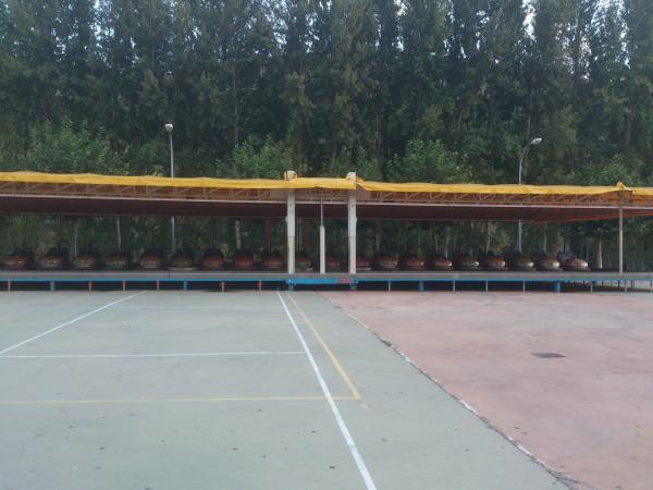 Pista coches de choque