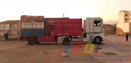 Toros locos en trailer