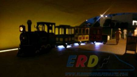 Mini tren eléctrico