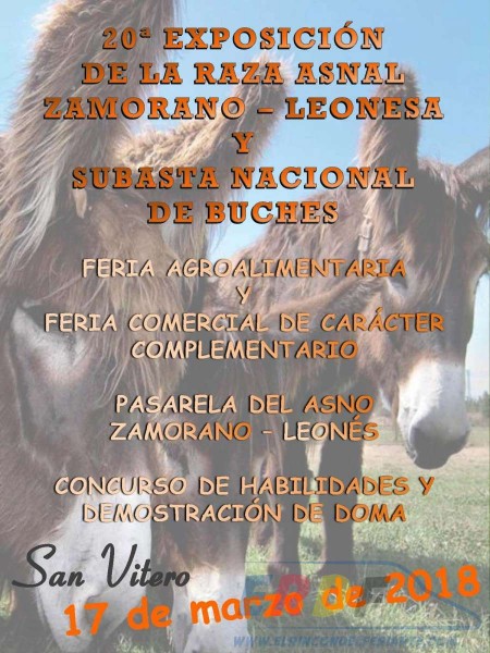 Feria de los burros - san vitero (zamora) 19/03/2016