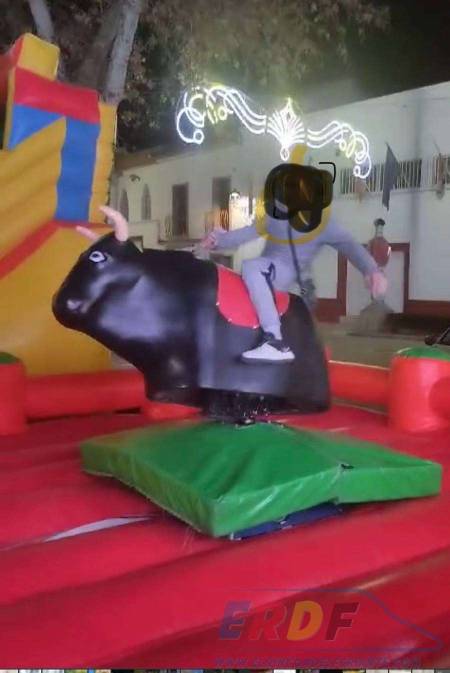 Toro menanico nuevo